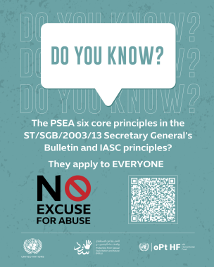 UN PSEA Digital Nudge 3. PSEA Core Principles 