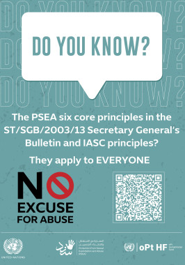 UN PSEA Digital Nudge 3. PSEA Core Principles